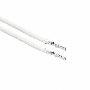 0039000038-12-W2-D Image