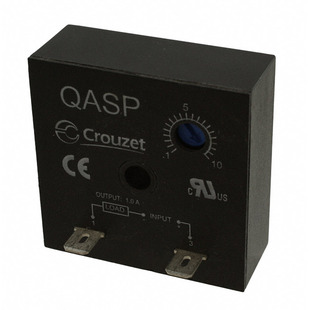 QASP10S110ADL Image