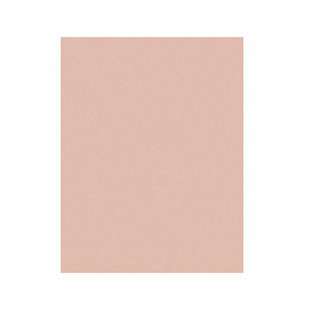 5MIC 3M261X SHEET 8.5X11