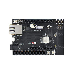 CYW943907AEVAL1F Image