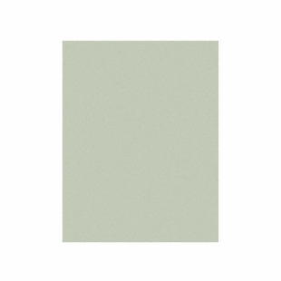 .5MIC 3M061X SHEET 8.5X11