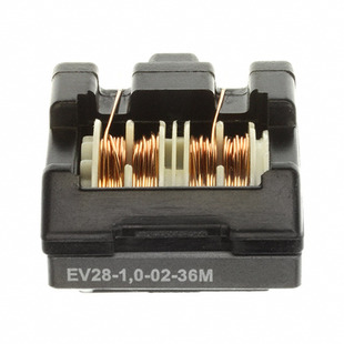EV28-1.0-02-36M Image