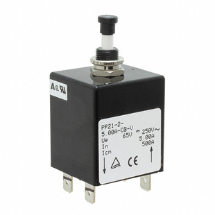 PP21-2-5.00A-OB-V Image