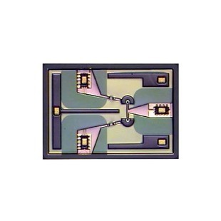 MASW-002103-13635P Image