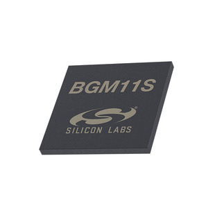 BGM11S12F256GA-V2 Image