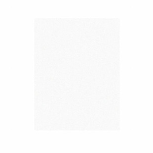 .3MIC 3M261X SHEET 3X6