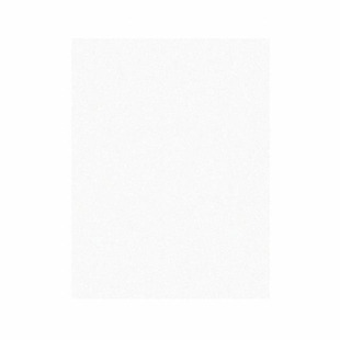 .3MIC 3M268X PSA SHEET 3X8