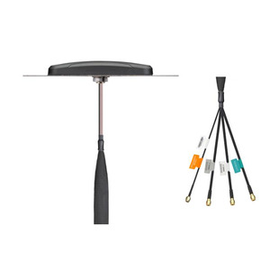 MA460.K.LBIC.002 Image